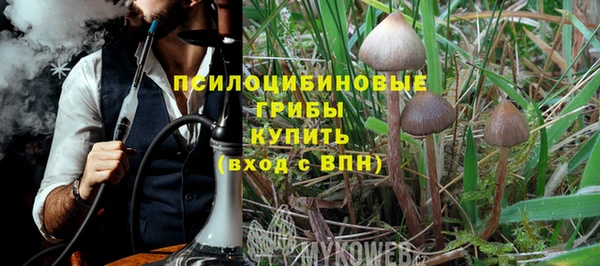 эйфоретик Кукмор