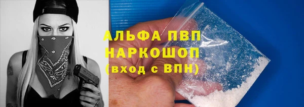 эйфоретик Кукмор