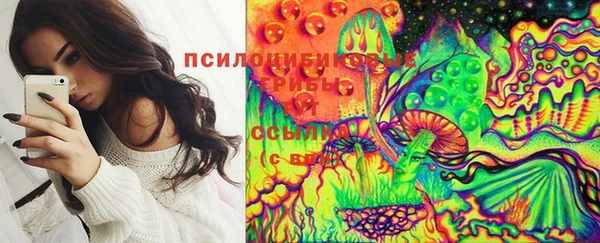 мдпв Куйбышев
