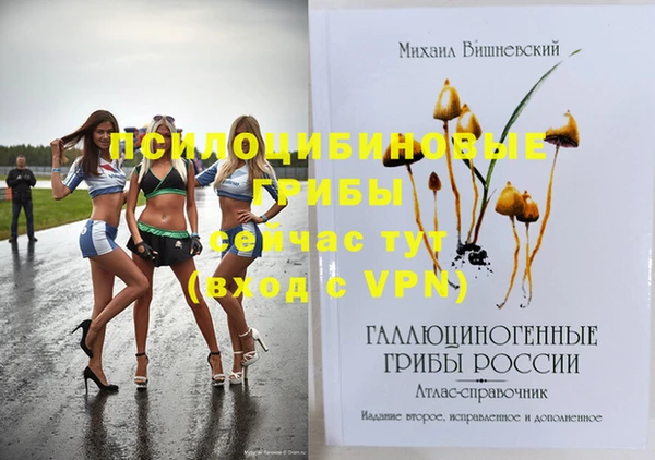 мдпв Куйбышев