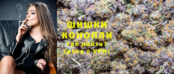 индика Лагань