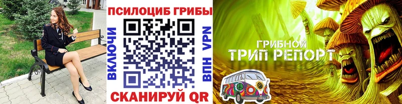Купить где  Любань  Псилоцибиновые грибы мухоморы 