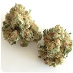 Шишки "White Widow"  (Белая вдова)  Гидропоника -  Бошка VHQ в Любани